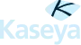 Kaseya